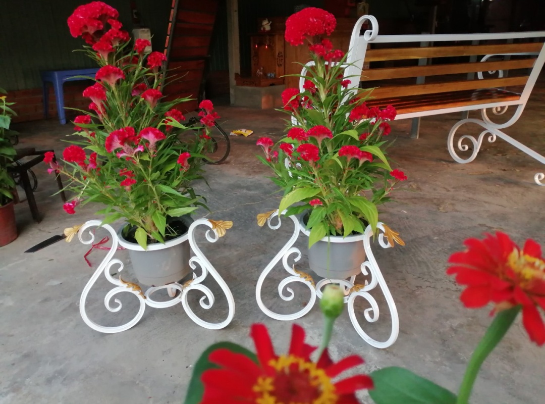 Kệ  để chậu hoa nghệ thuật